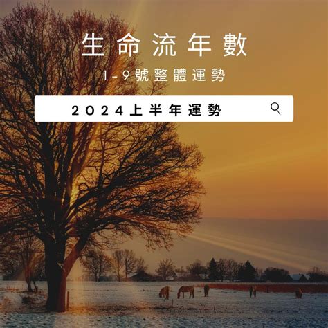 2024 八字 運勢|V生命靈數／ 2024上半年【整體運勢】分析&生命流年。